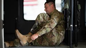Veteran mobility support